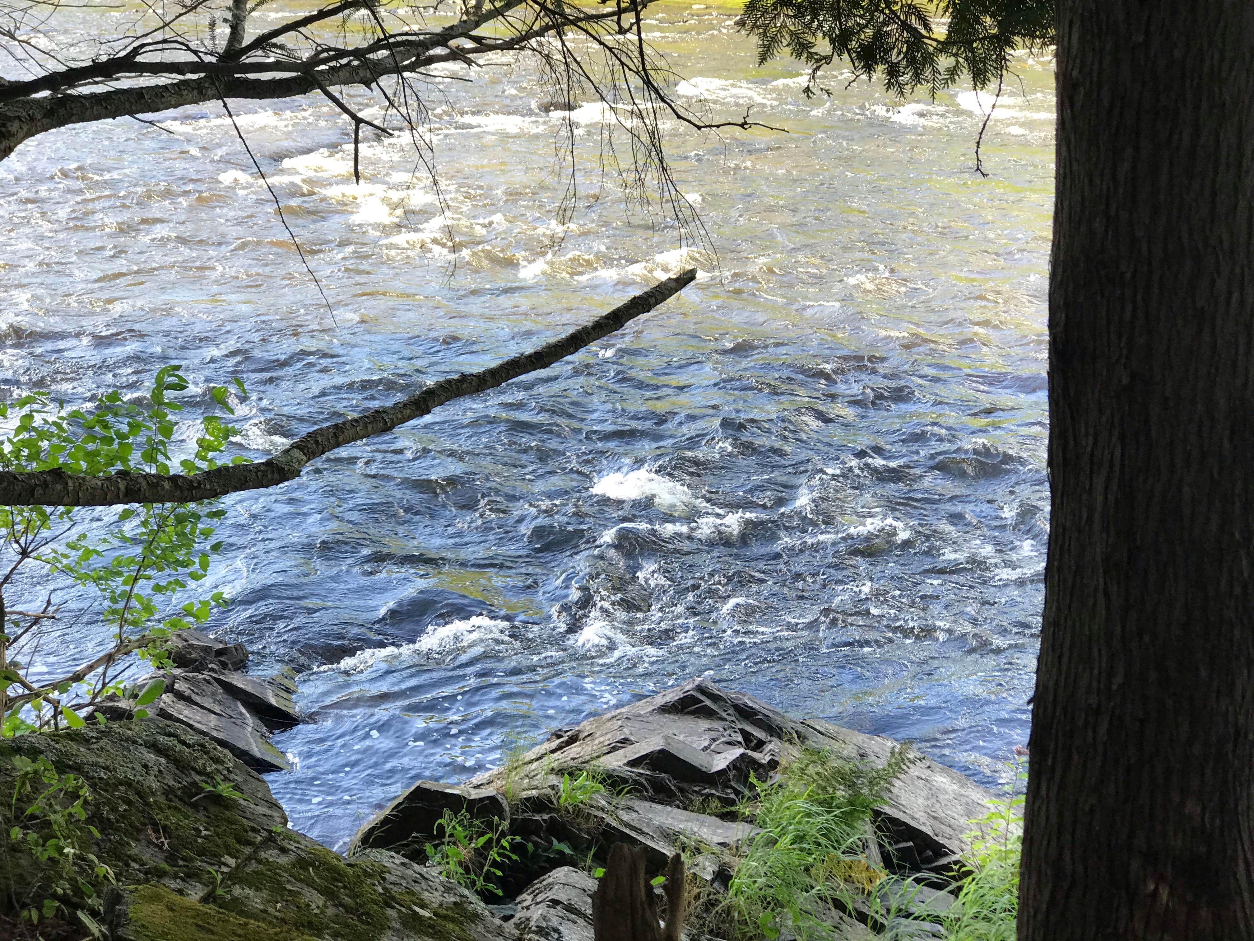 Camper-submitted photo at Paint River Hills Campground near Crystal Falls, MI