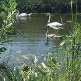 Review photo of Wabasis Lake County Park by Megan T., August 9, 2019