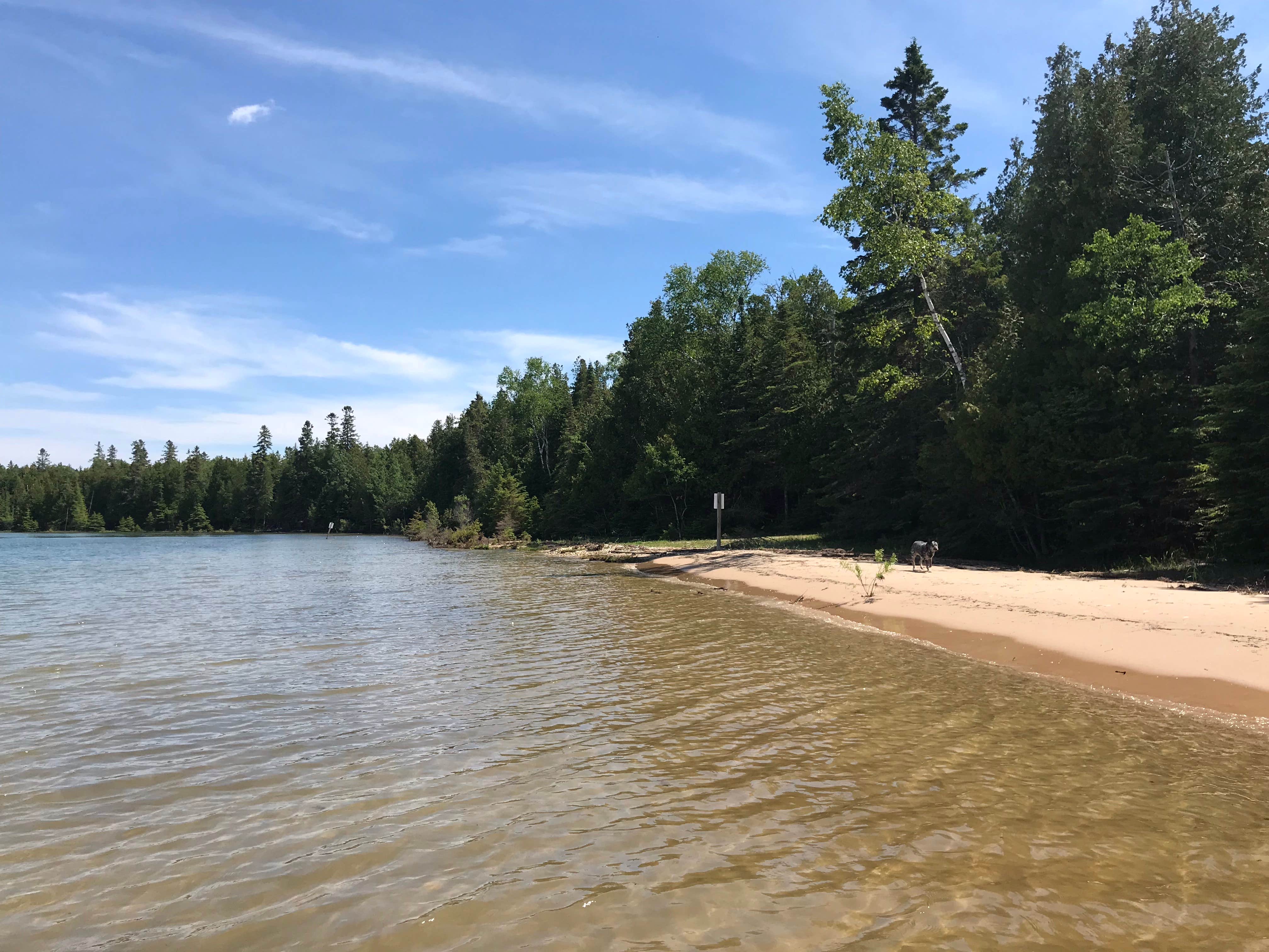 Camper-submitted photo at Portage Bay State Forest Campground near Garden, MI