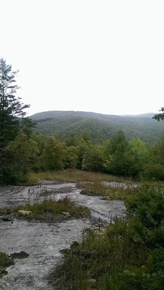 View from Little Green