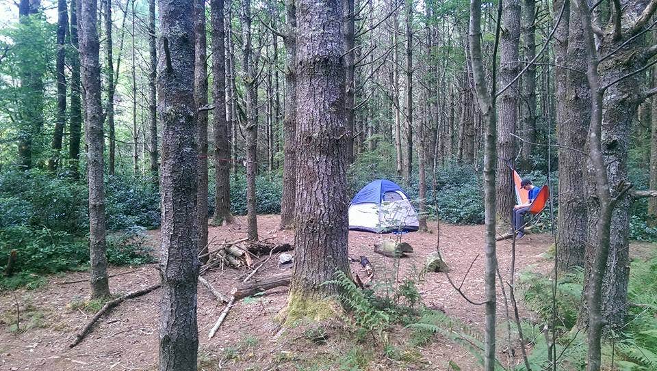 Camper submitted image from Panthertown Valley Backcountry Area - 5