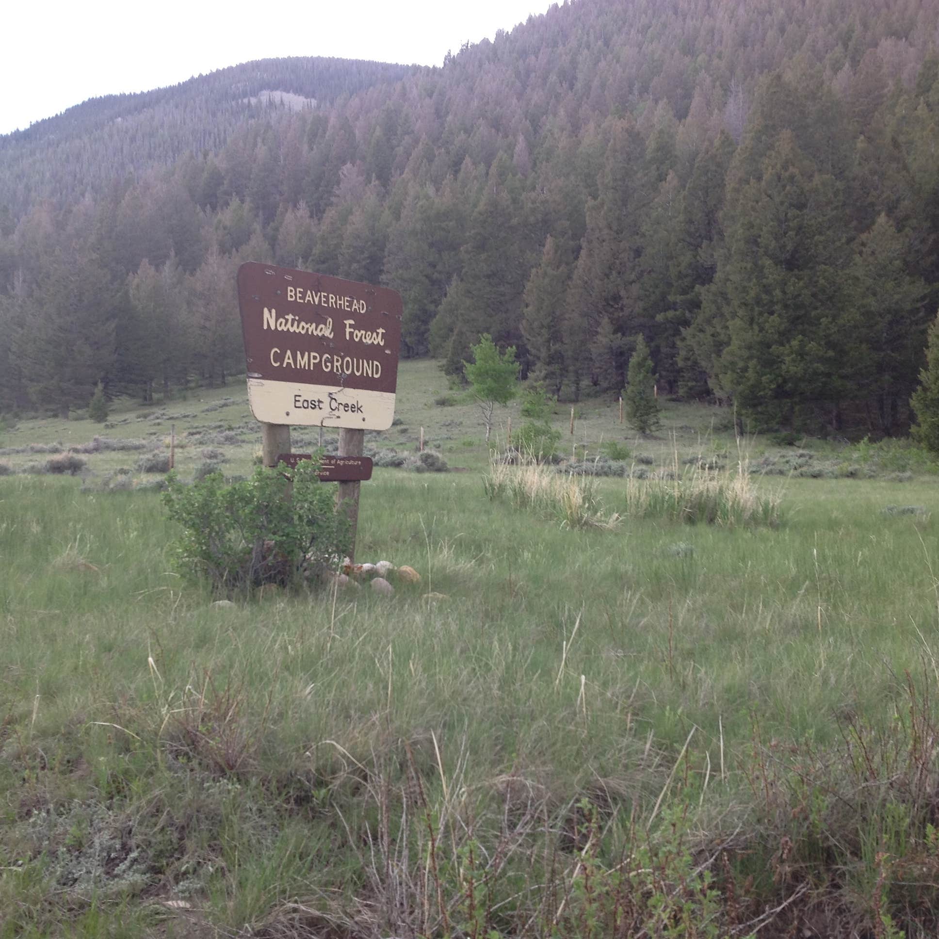 Escape To Montana’s Hidden Gem: East Creek Campground