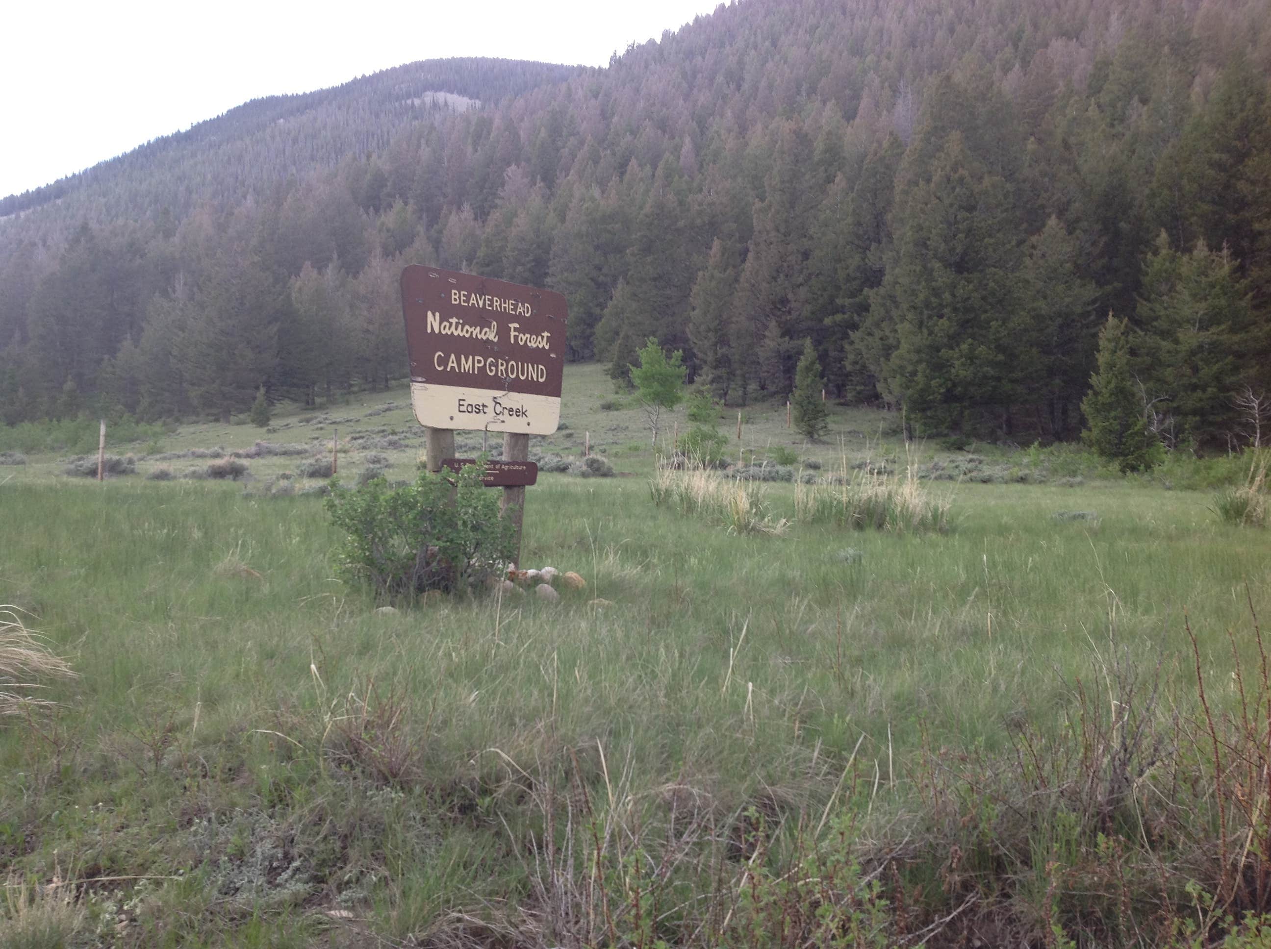 Camper submitted image from East Creek Campground - 3