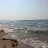 Review photo of Mount Randall Campground — Warren Dunes State Park by Kate K., August 10, 2019