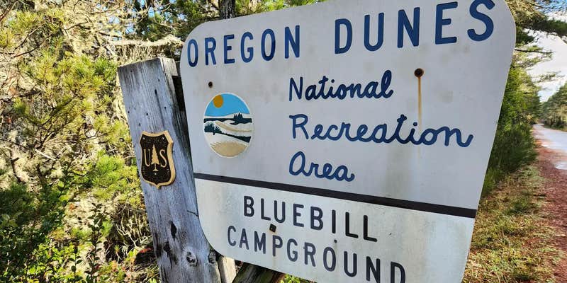 Camper submitted image from Bluebill Campground