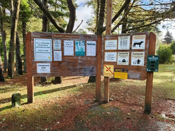 Camper-submitted photo at Bluebill Campground near Coos Bay, OR