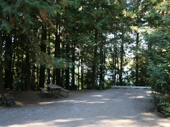 Camper-submitted photo at Springy Point near Cocolalla, ID