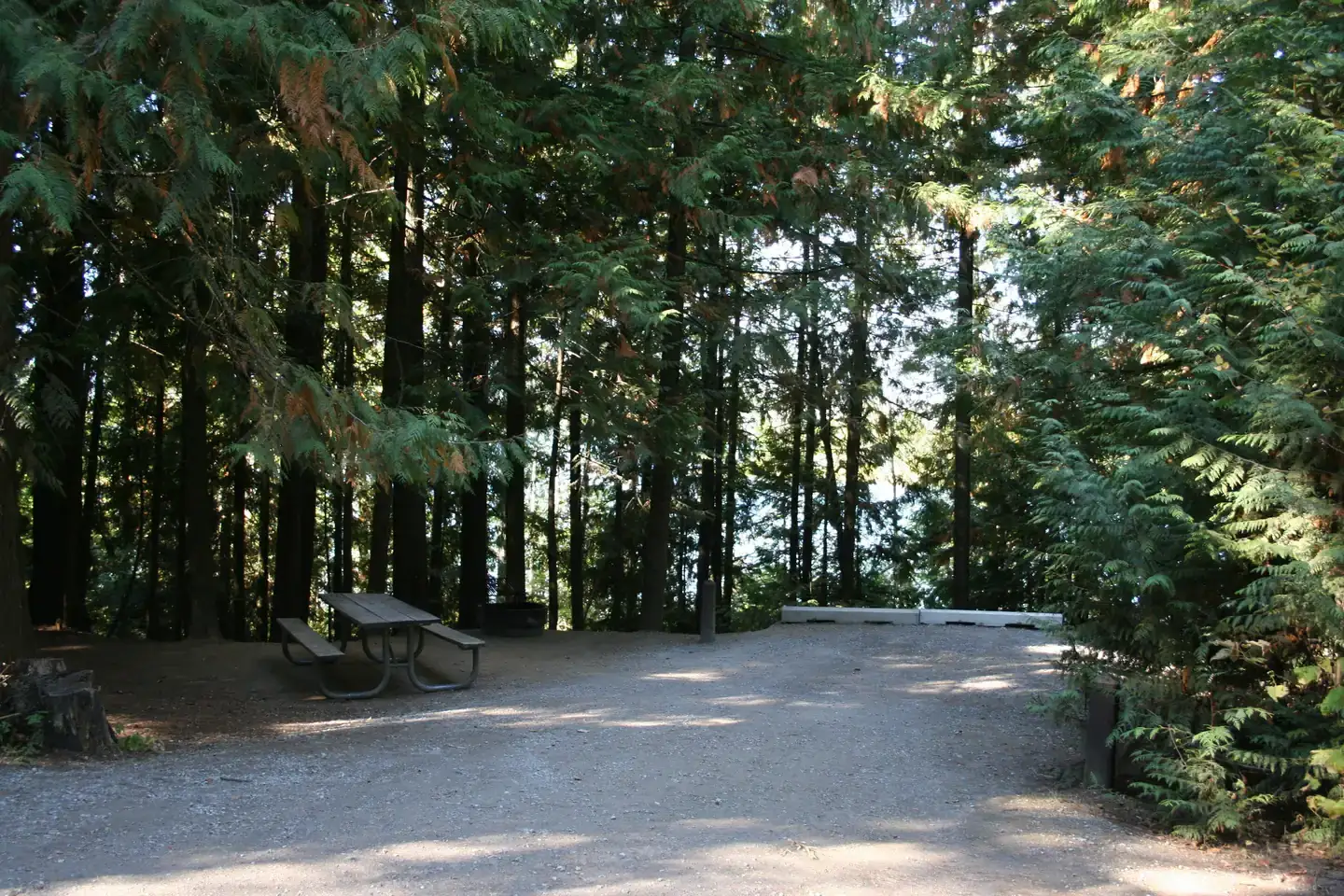 Camper-submitted photo at Springy Point near Idaho Panhandle National Forests