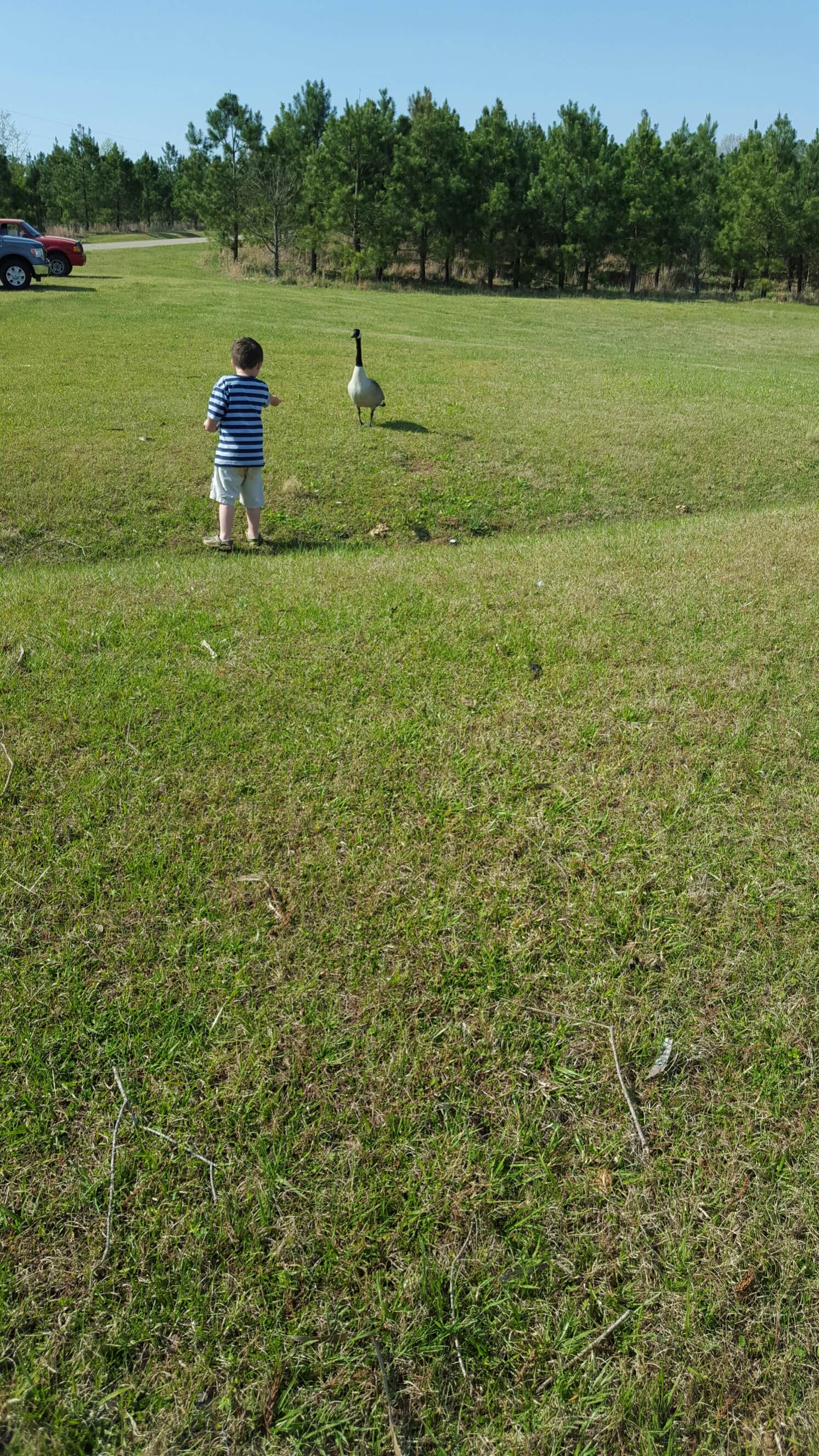 Camping near Cox Lake: Tippah County Lake, Falkner, Mississippi