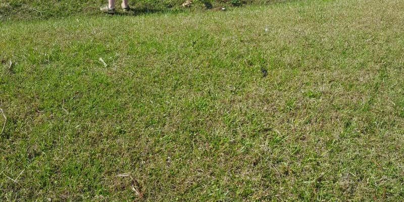 Camper submitted image from Tippah County Lake