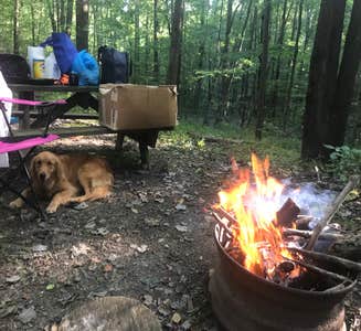 Camper-submitted photo from Stacked Stones Retreat and Horse Camp — Hocking State Forest