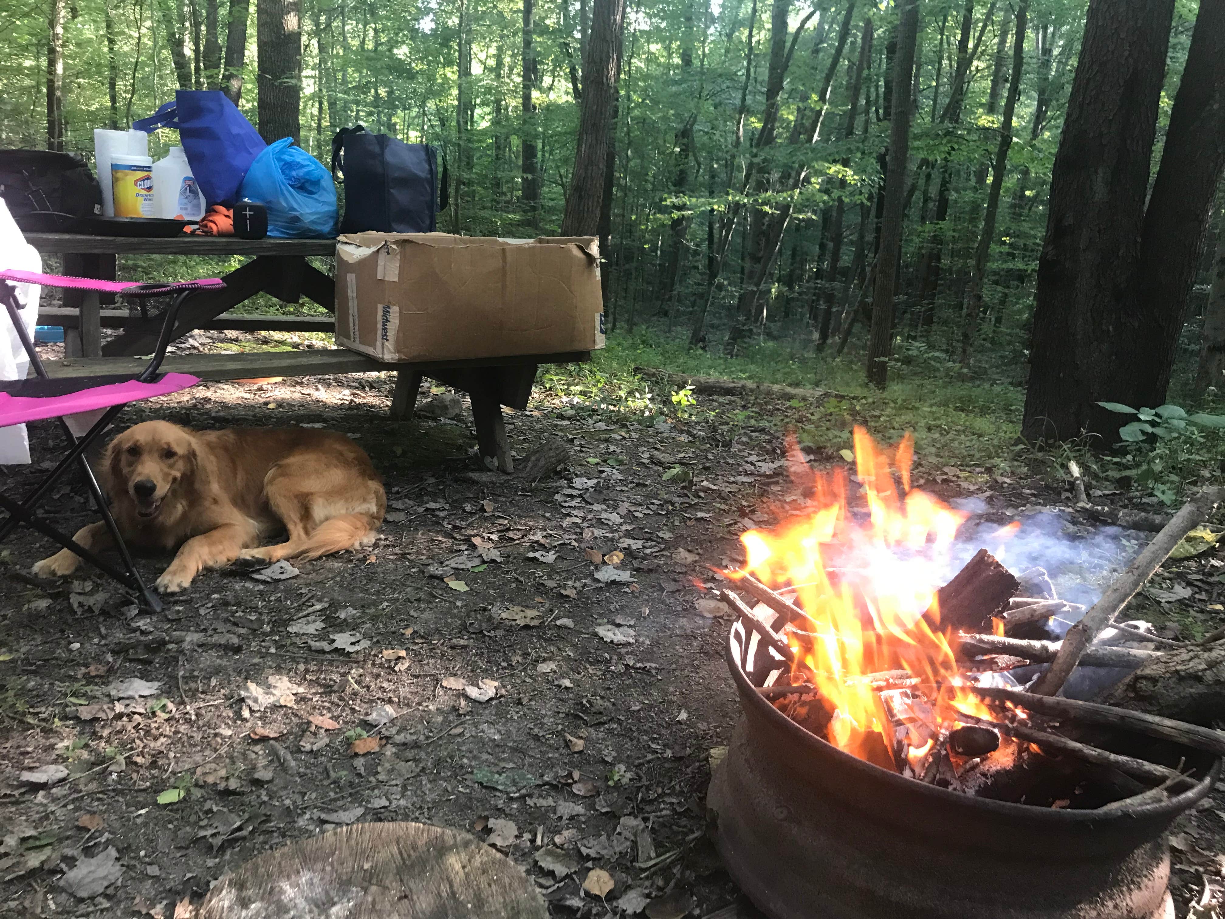 Camper submitted image from Stacked Stones Retreat and Horse Camp — Hocking State Forest - 2