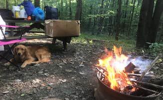 AJ J.'s photo of camping with pets at Palmerosa Horse & Hike Campground near New Lexington, OH
