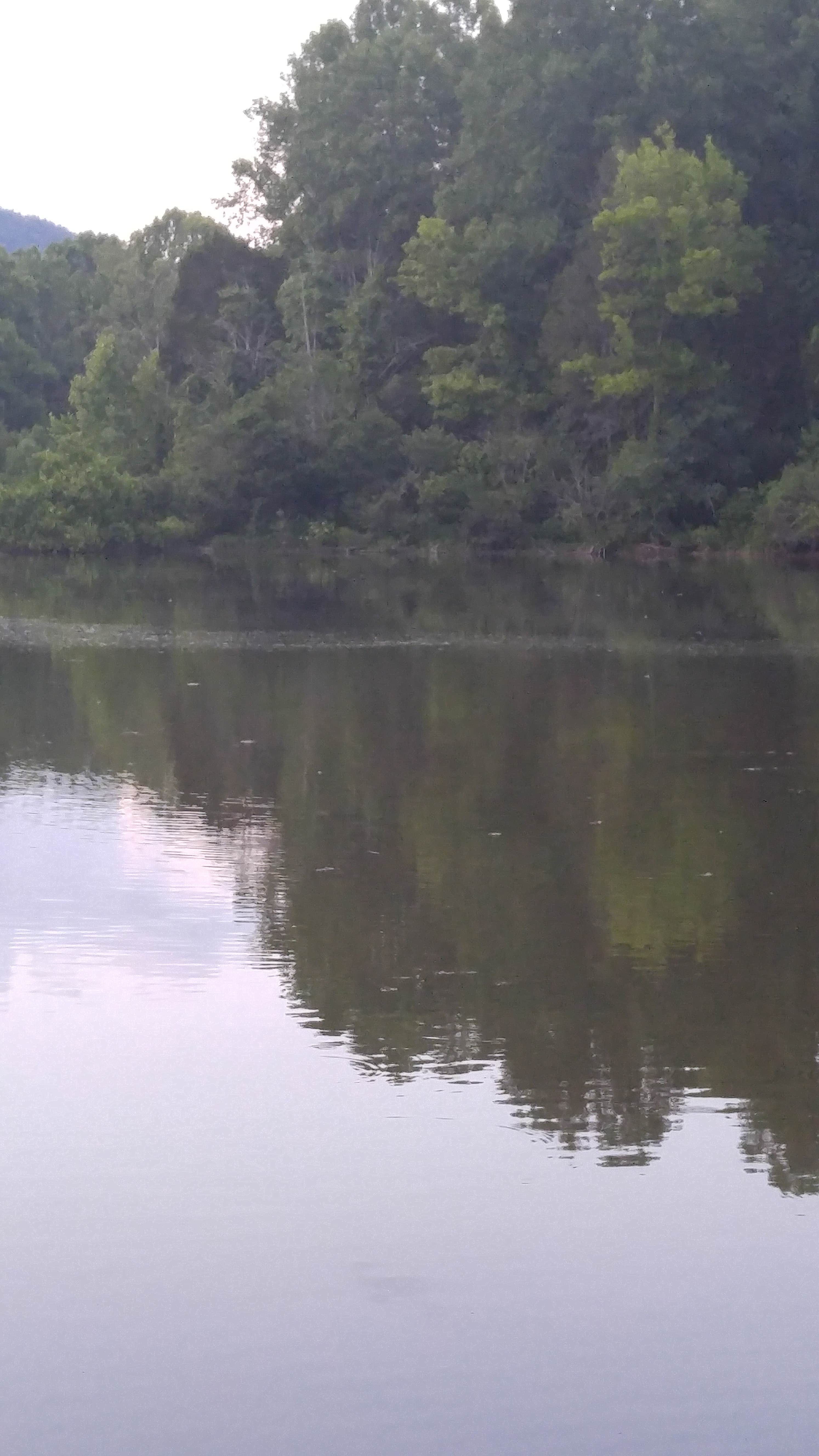 Camper-submitted photo at Cove Lake State Park Campground near Clinton, TN