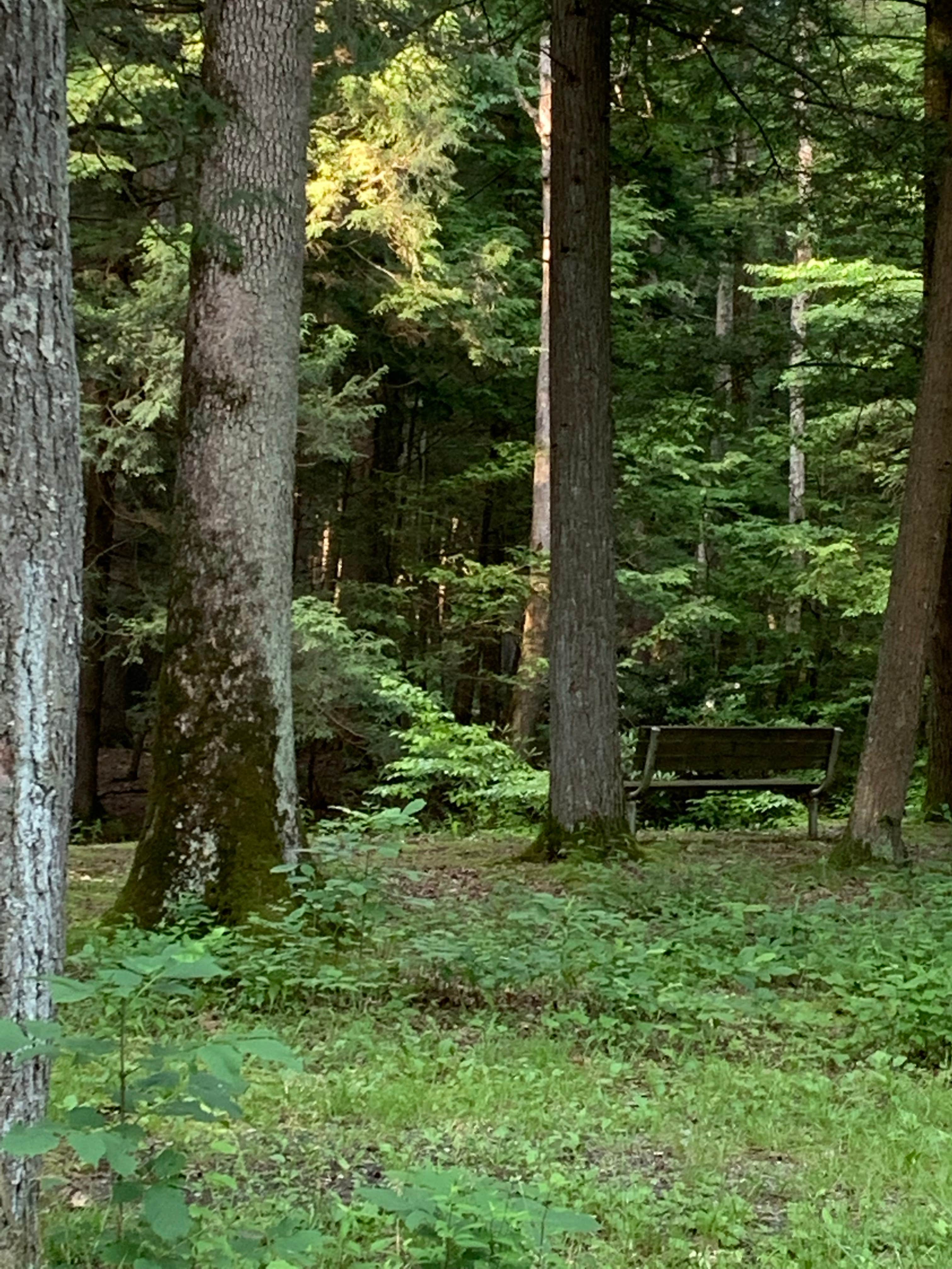 Camper-submitted photo at Reeds Gap State Park Campground near Lemont, PA