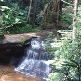 Review photo of Koomer Ridge Campground — Daniel Boone National Forest by Janice C., August 10, 2019