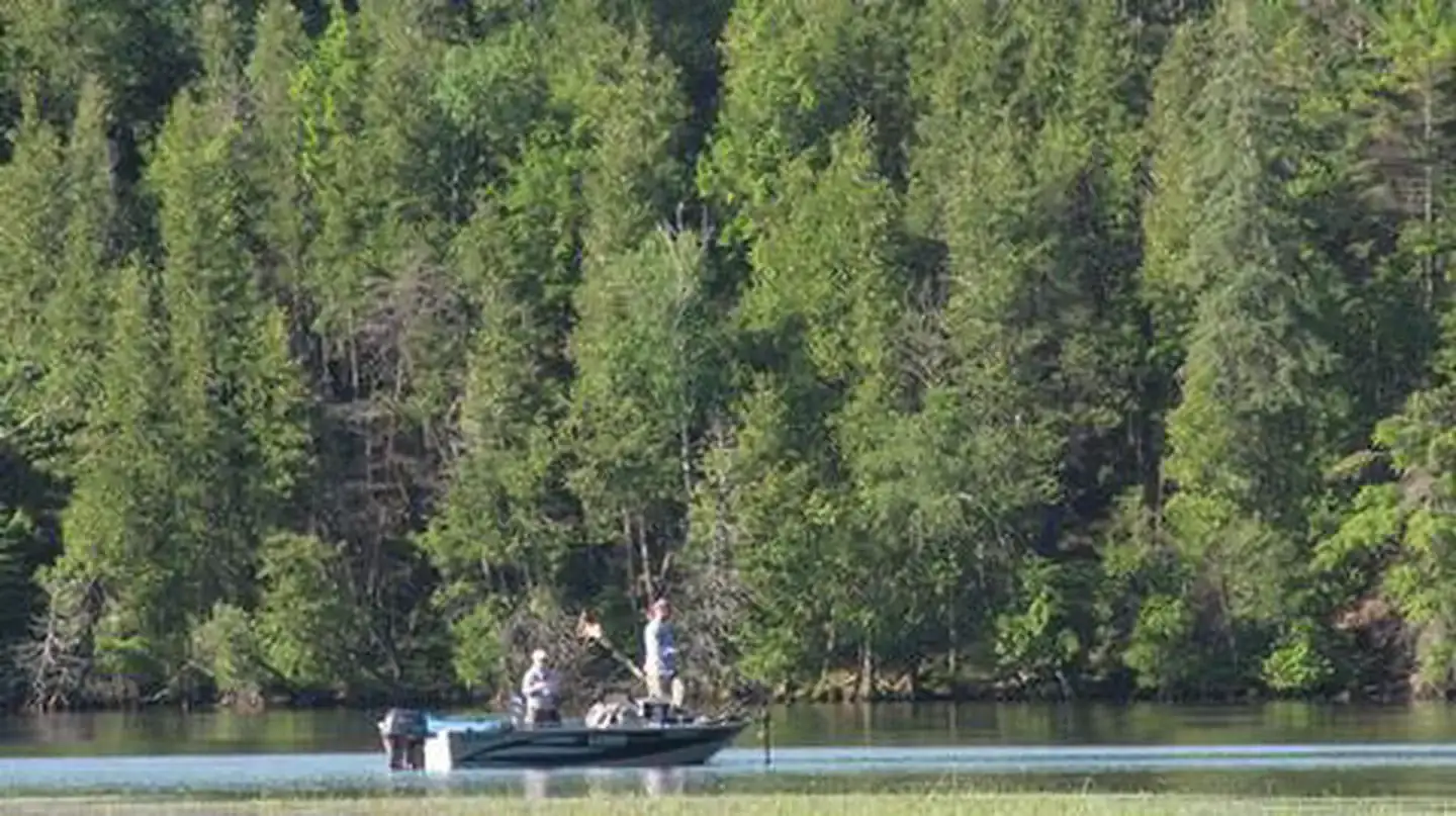 Camper-submitted photo at Au Sable River Primitive Camping near Lupton, MI