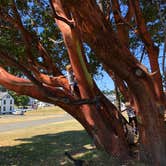 Review photo of Beach Campground — Fort Worden Historical State Park by Brady N., August 10, 2019