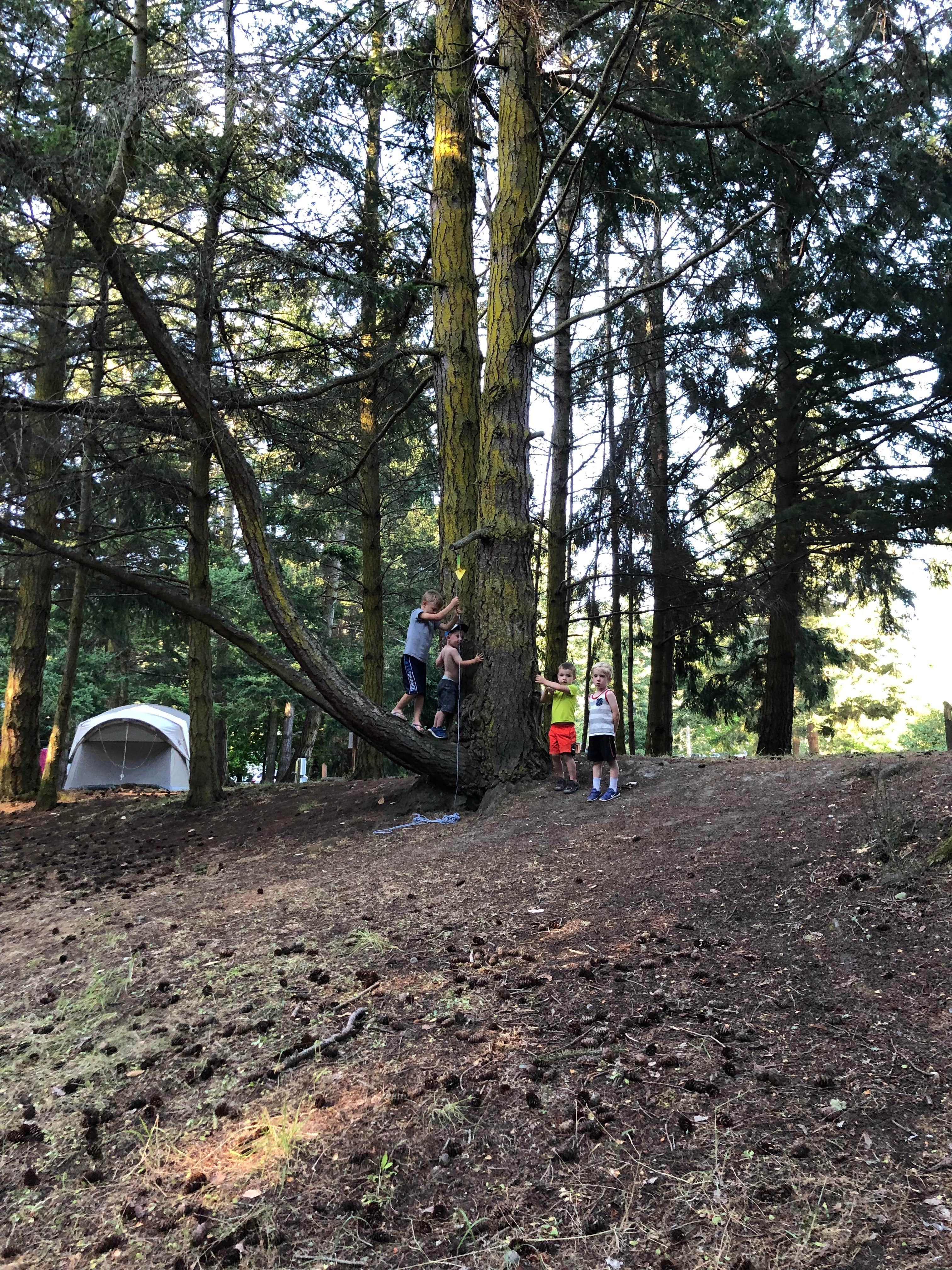 Brady N.'s photo at Beach Campground — Fort Worden Historical State Park near Coupeville, WA