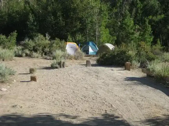 Camper-submitted photo at Four Jeffrey Campground near Swall Meadows, CA