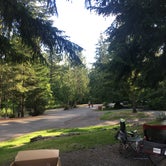 Review photo of Alder Lake Park by Brady N., August 10, 2019