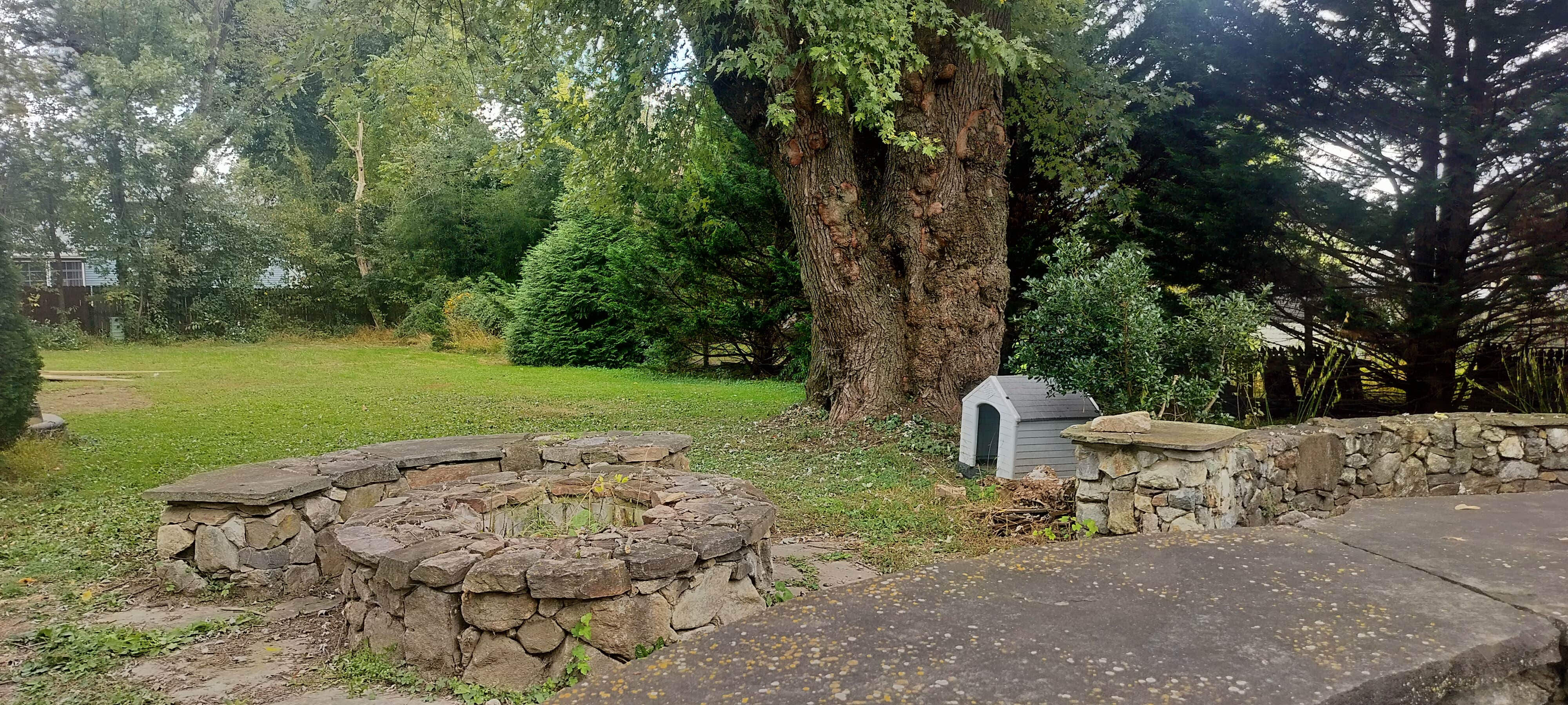 Camper submitted image from Hockessin Retreat - 2