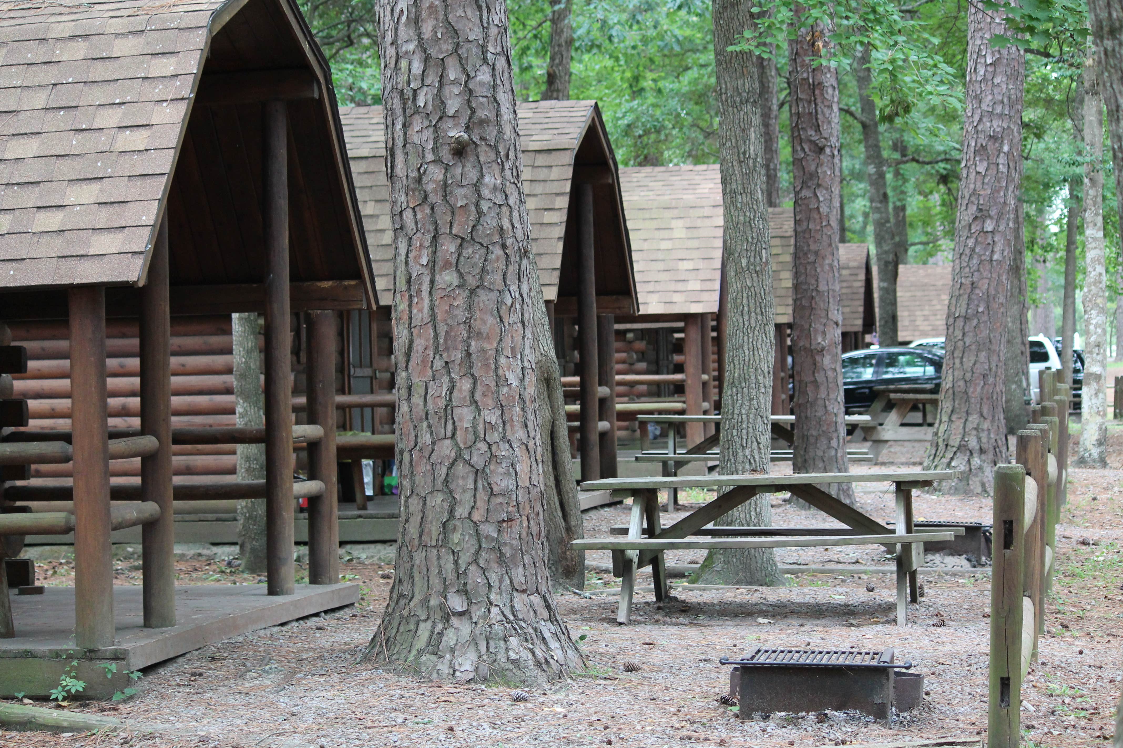 Rick B.'s photo of glamping accommodations at Myrtle Beach KOA near Andrews, SC