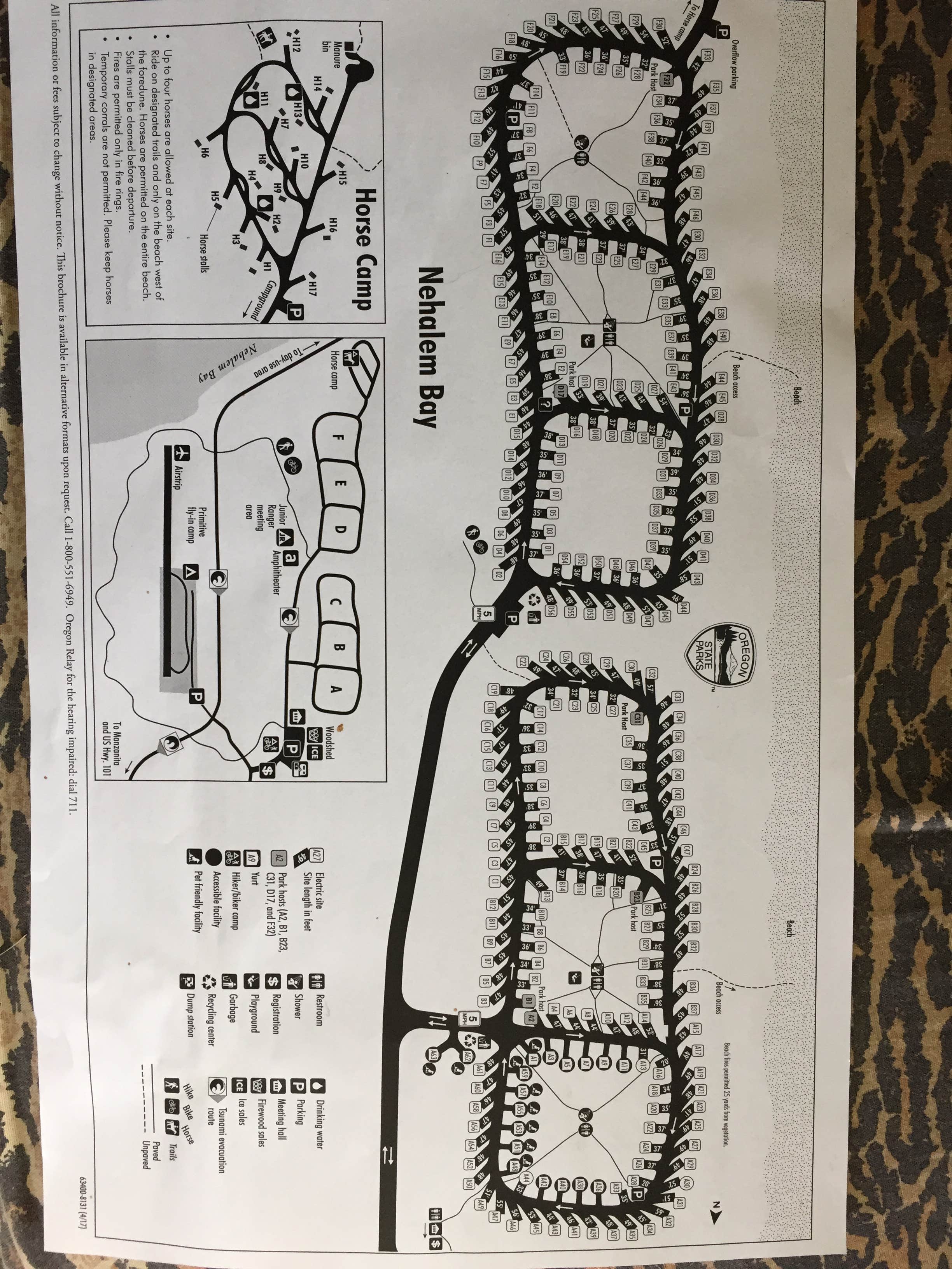 Camper-submitted photo at Nehalem Bay State Park Campground in Oregon