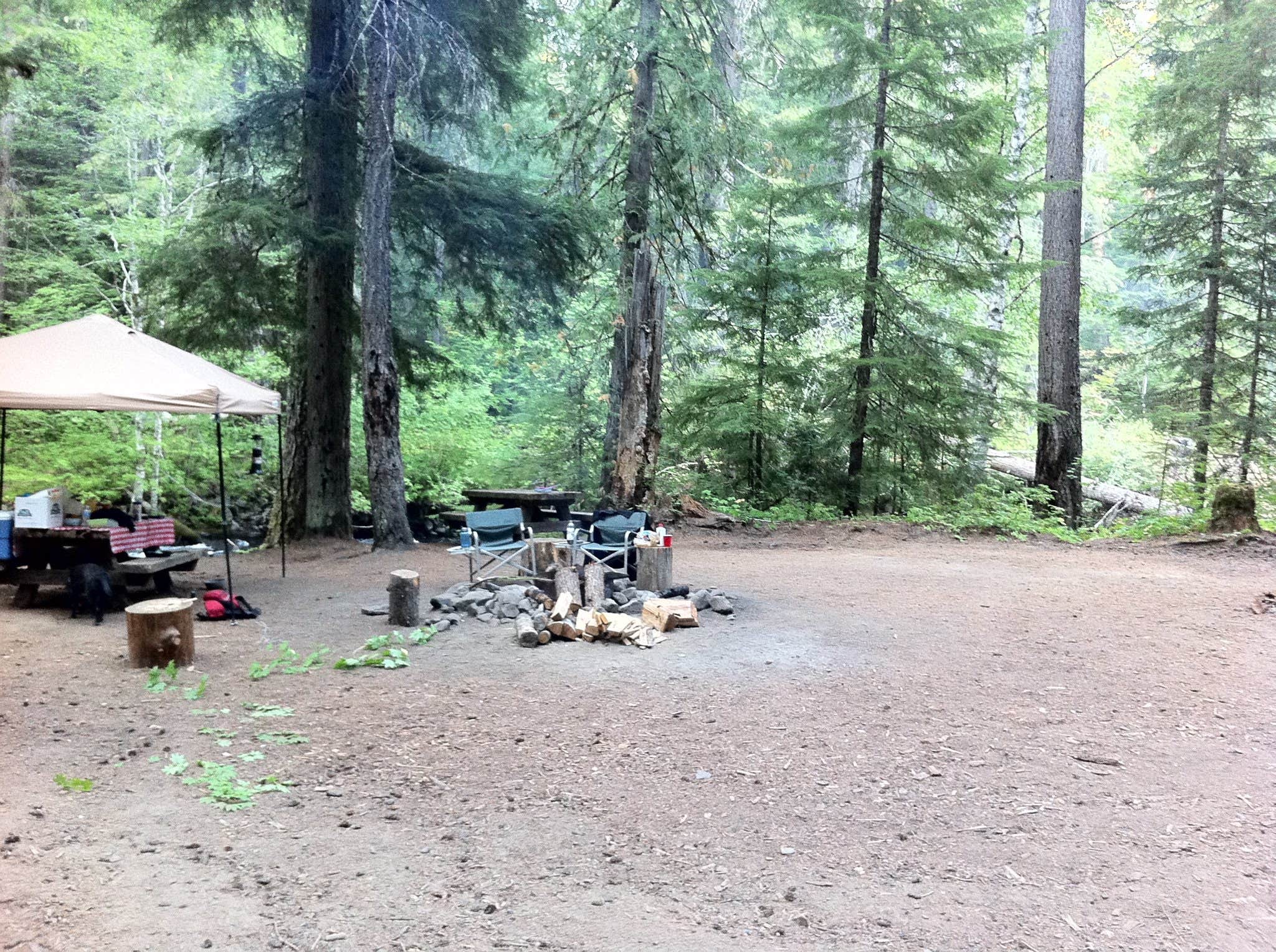 Brady N.'s photo of tent camping at Twin Falls near Cougar, WA