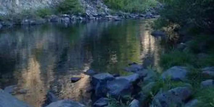 Camper submitted image from Panther Flat Campground