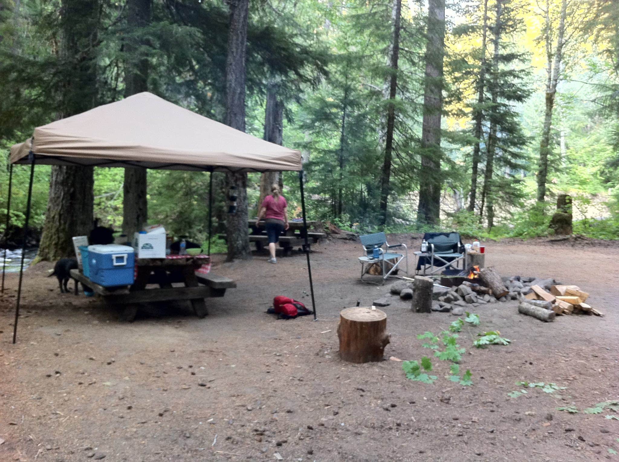 Camper-submitted photo at Twin Falls near Gifford Pinchot National Forest