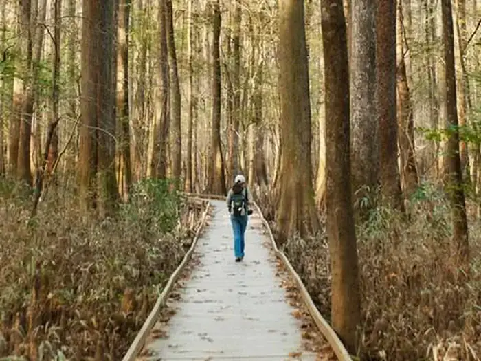 Camper-submitted photo at Bluff Hike In Campground — Congaree National Park near West Columbia, SC