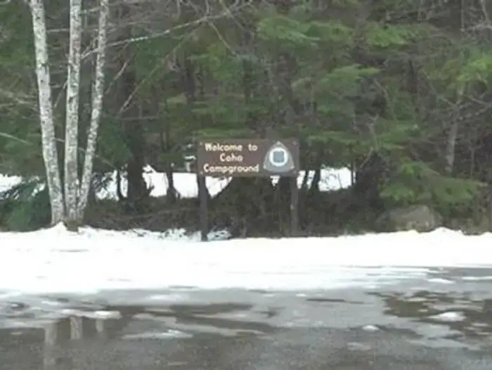 Camper-submitted photo at Coho Campground near Matlock, WA