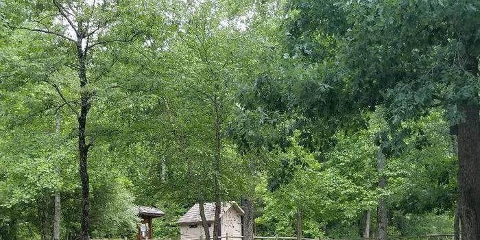 Camper submitted image from Nancytown Group Campground