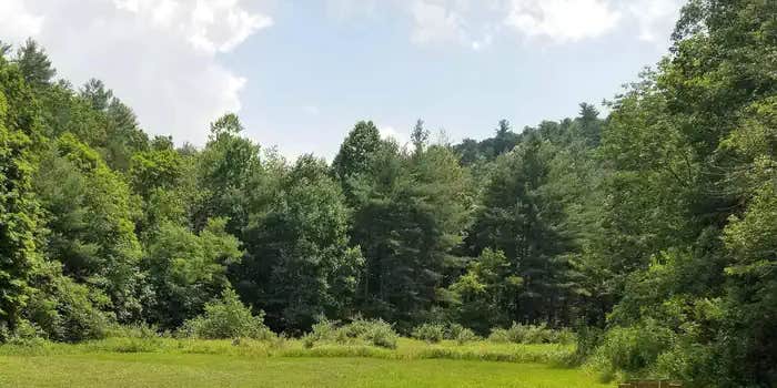 Camper submitted image from Boley Field Group Campground