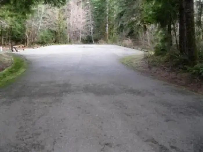 Camper-submitted photo at Coho Campground near Matlock, WA