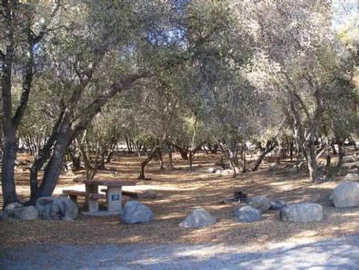 Camper submitted image from Tillie Creek - 1