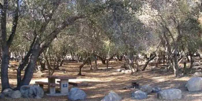 Camper submitted image from Tillie Creek