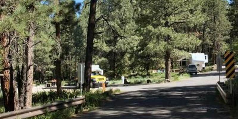 Camper submitted image from San Antonio Campground