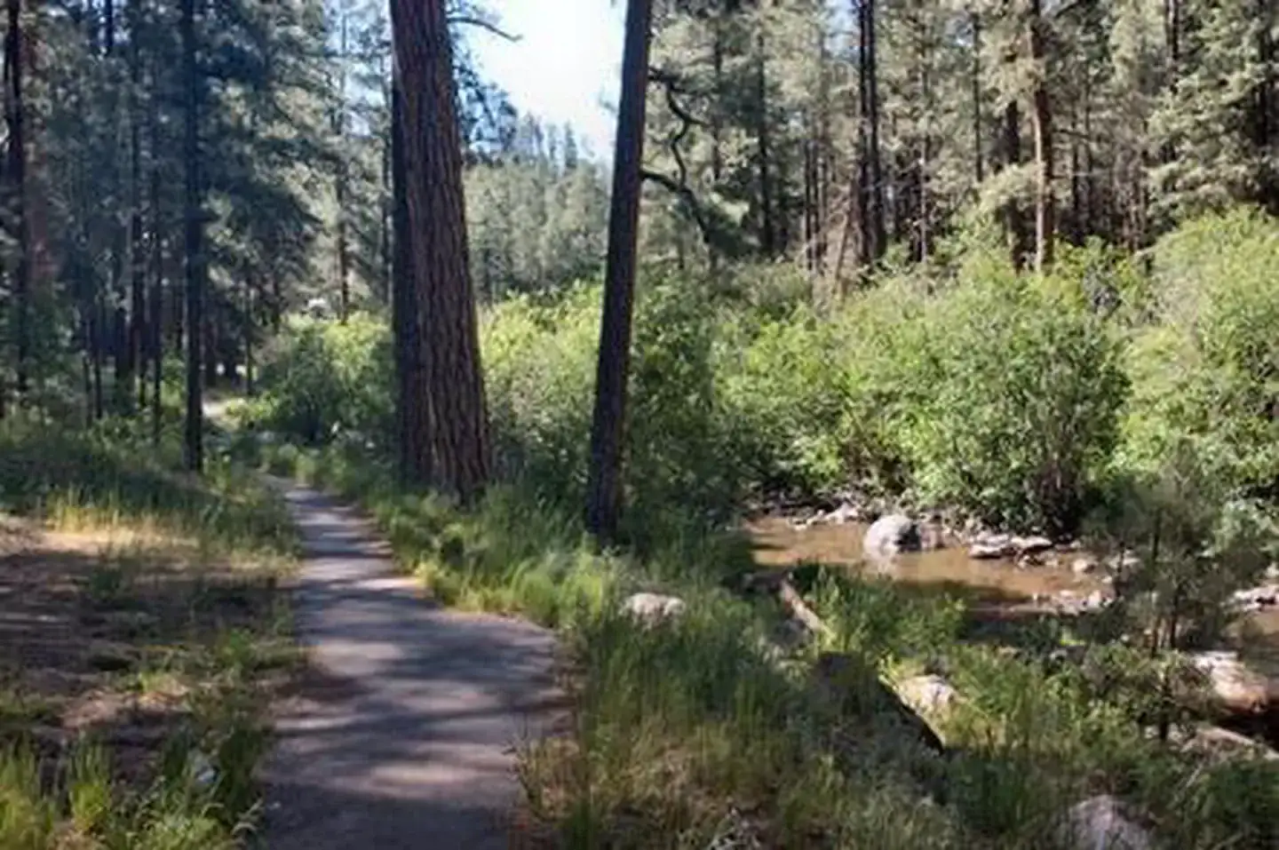 Camper-submitted photo at San Antonio Campground near Jemez Springs, NM
