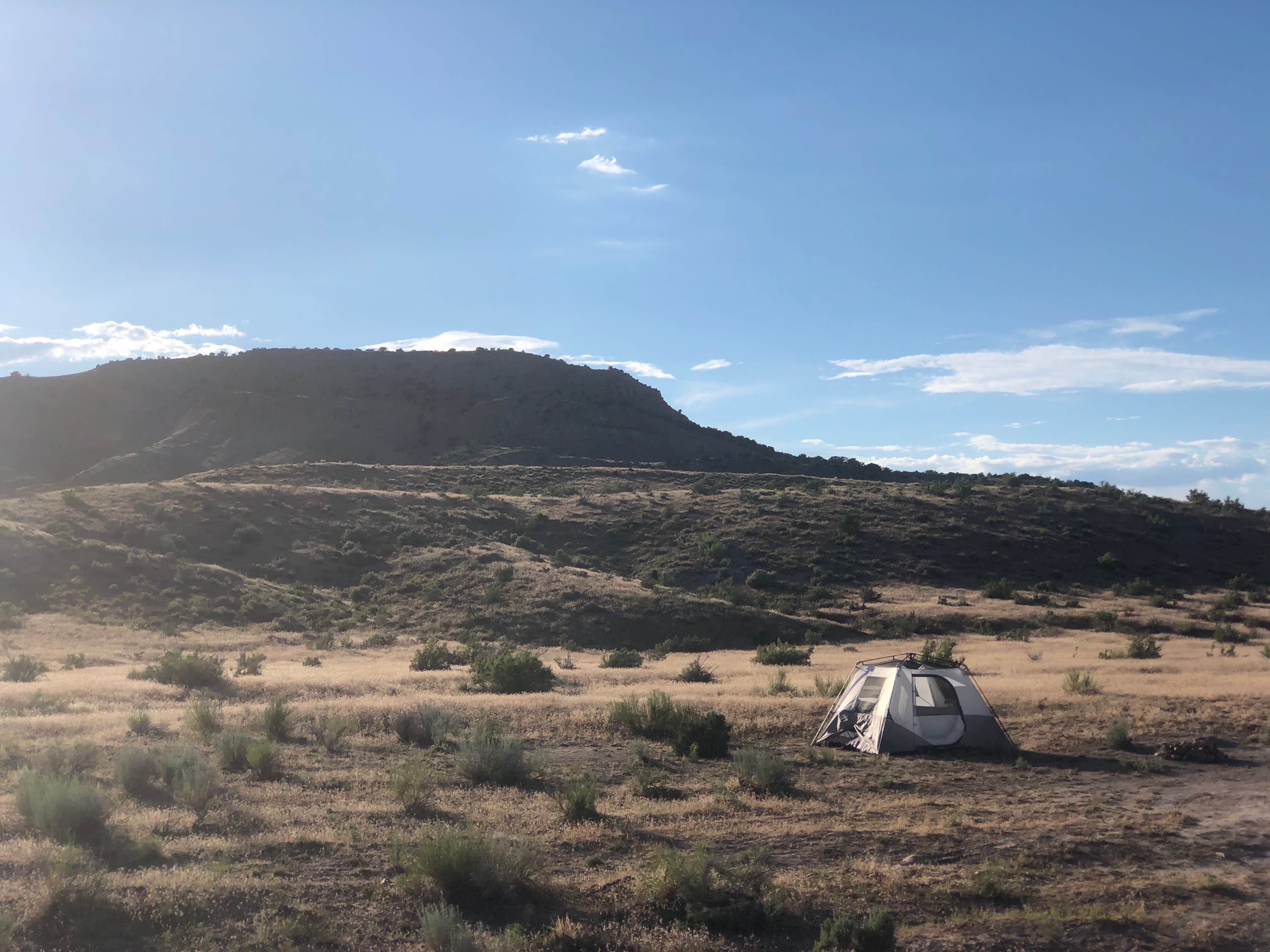 Becky T.'s photo at Fruita Section Camping — James M. Robb Colorado River State Park near Fruita, CO