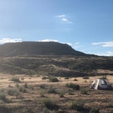 Review photo of Fruita Section Camping — Colorado River by Becky T., August 10, 2019