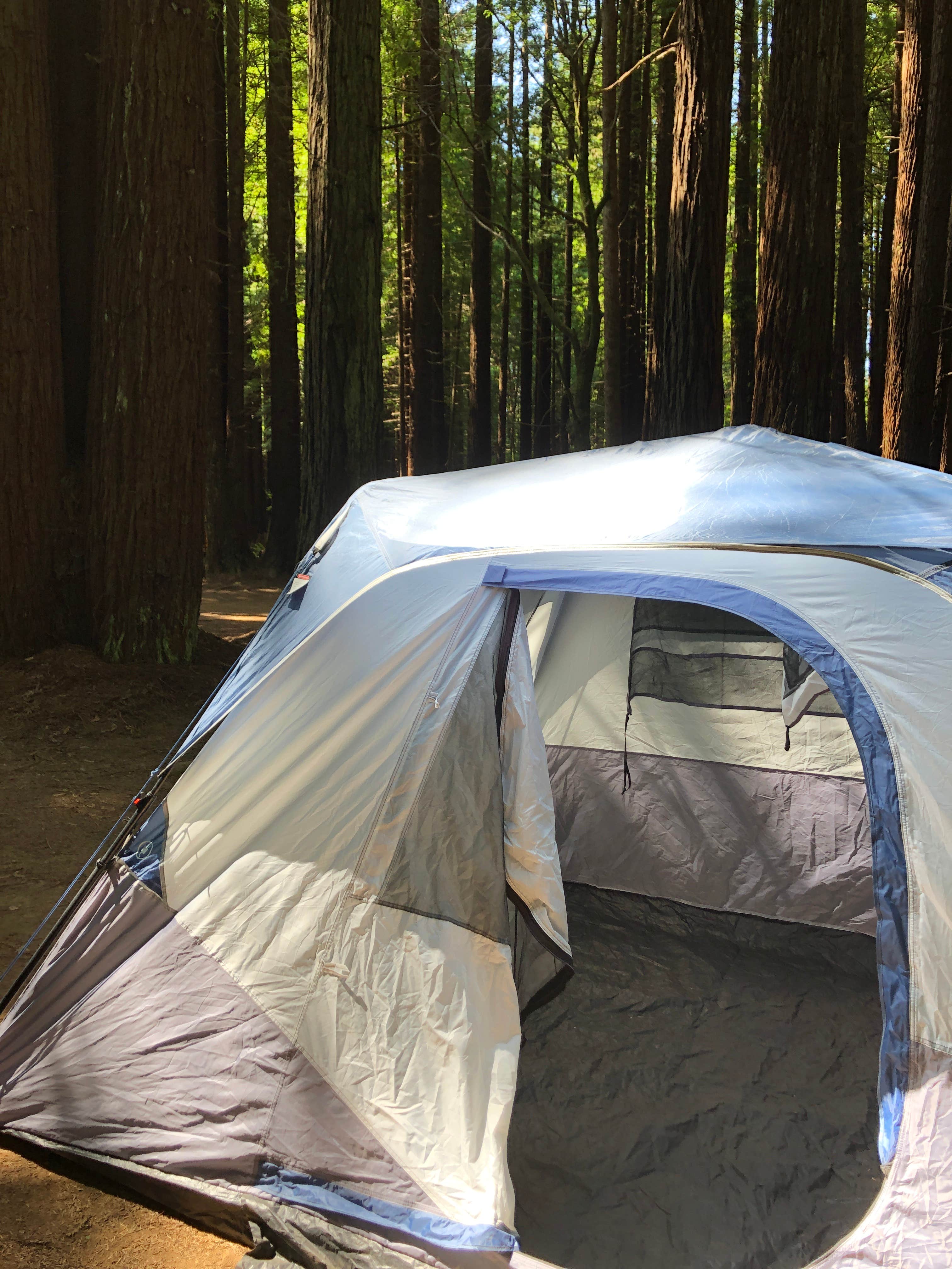 Becky T.'s photo at Jedediah Smith Redwoods State Park Campground near Smith River, CA