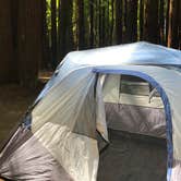 Review photo of Jedidiah Smith Campground — Redwood National Park by Becky T., August 10, 2019