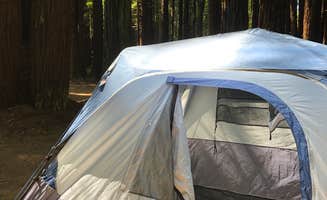 Becky T.'s photo at Jedediah Smith Redwoods State Park Campground near Smith River, CA
