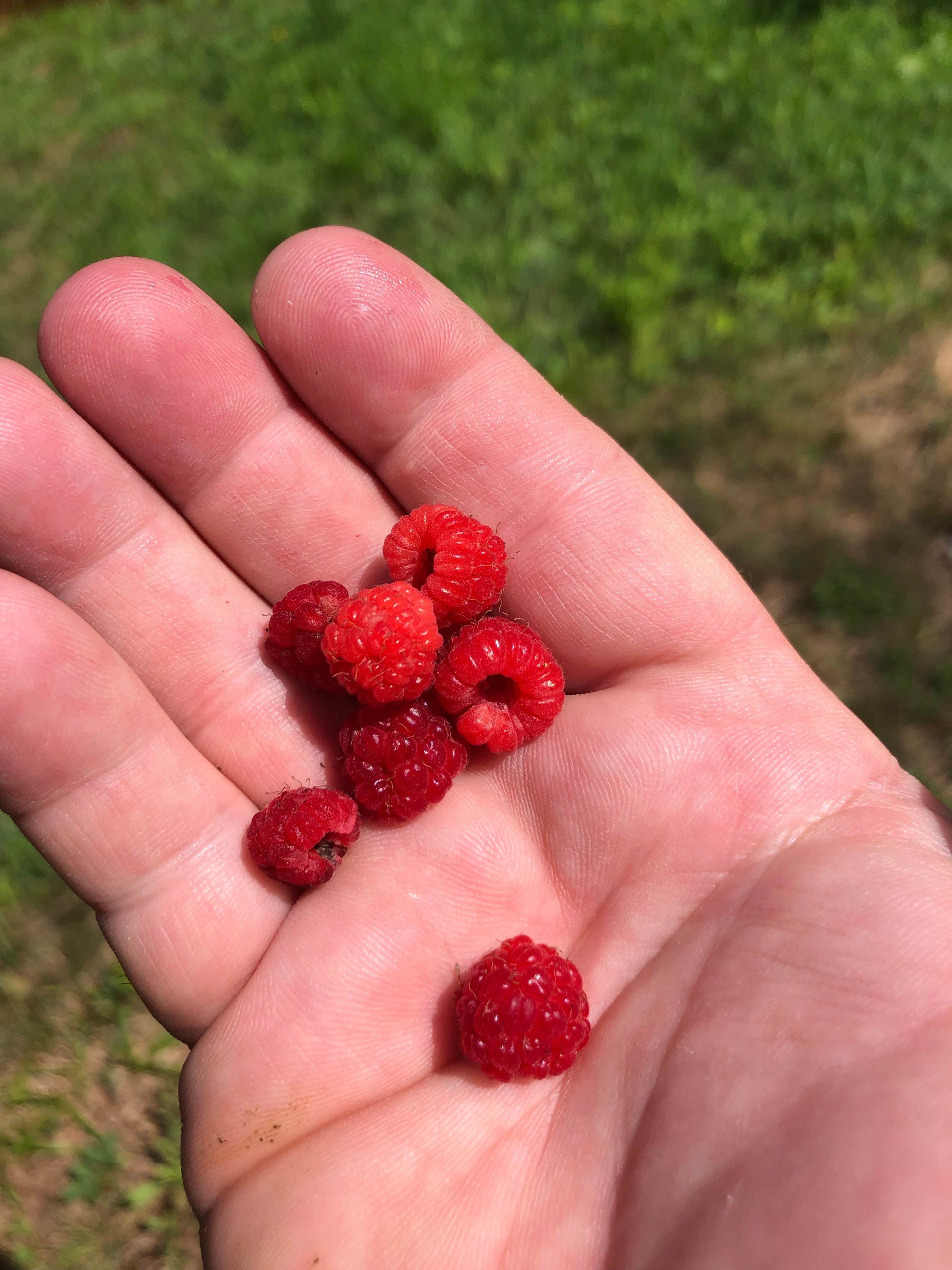 Camper-submitted photo at Farquar-Metsa Tourist Park near Big Bay, MI
