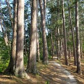 Review photo of The Lodge Campground — Scenic State Park by Jillian S., August 10, 2019