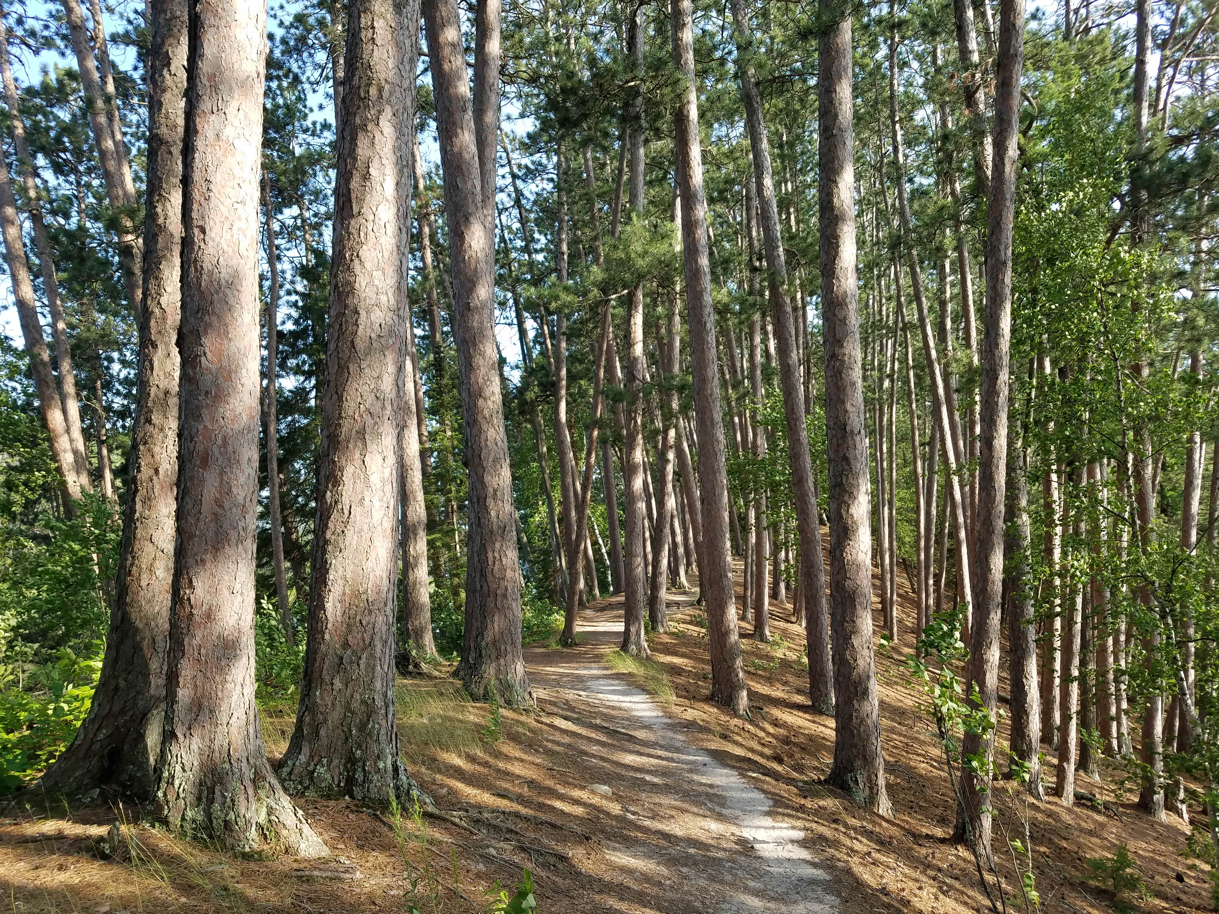 Camper submitted image from The Lodge Campground — Scenic State Park - 3