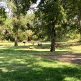 Review photo of Foss State Park Campground by Kelly B., August 10, 2019