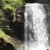 Review photo of Davidson River Campground by Todd R., August 5, 2019